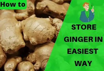 Top 6 easy ways on how to store ginger roots