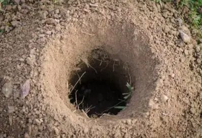 Create Hole in soil for putting water bottle 