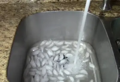 A kitchen sink full with ice cube for cleaning garbage disposal 