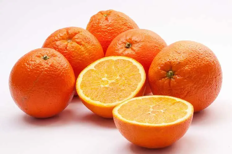 7 best oranges for juicing
