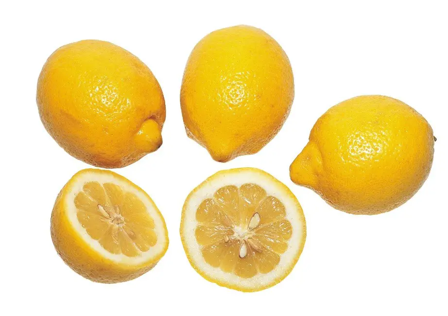 Are lemon seeds poisonous: basic answers