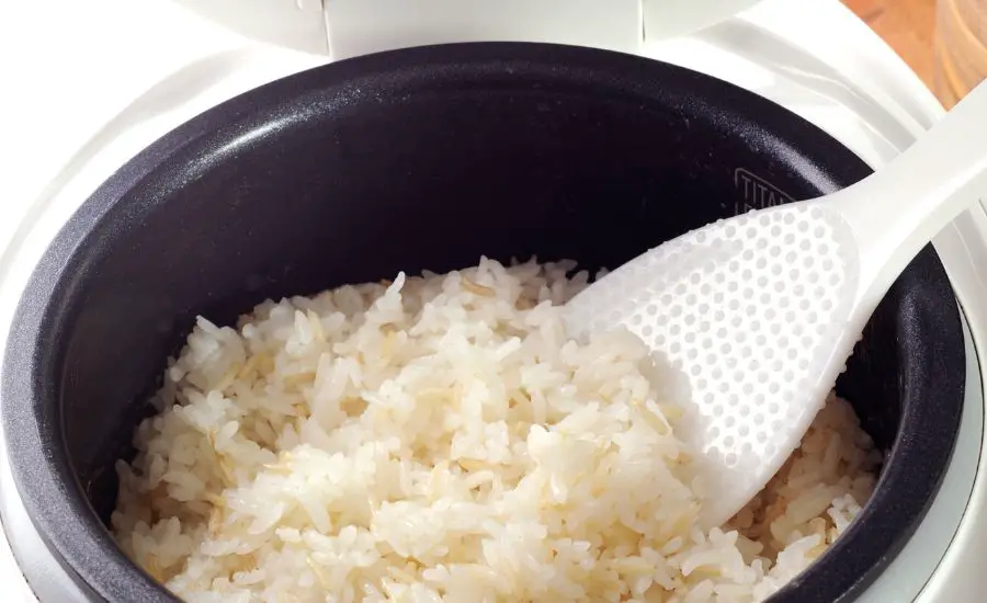 How to use Zojirushi rice cooker: a complete guide